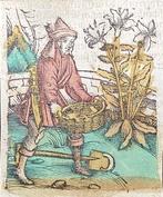 Petrus Crescentiis (XIII-XIV sec.) - 6 tavv. da Ruralia