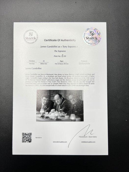 The Sopranos - James Gandolfini as « Tony Soprano » - Fine, Verzamelen, Film en Tv