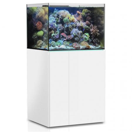 Aqua Medic Armatus 300 XD white, Dieren en Toebehoren, Vissen | Aquaria en Toebehoren, Verzenden