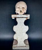 Memento mori met een anatomische schedel van gips op een, Antiek en Kunst