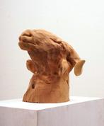 Pietro Colmellere (1997) - Il Montone