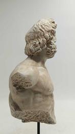 sculptuur, Busto di Asclepio - 41 cm - marmerstof