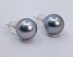 9x10mm Round Silvery Tahitian Pearls - Oorbellen - 14 karaat