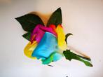 Regenboogcorsage luxe corsage zijde rainbow cerise/yell/blue