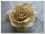 foam Rose Sofia 14cm. Cava Doos 12 voordeelpak