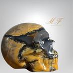 Magnifieke schedel en Agathe vulkanisch fluorescerend., Verzamelen, Mineralen en Fossielen