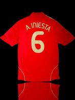 selección Española campeona de Europa - Voetbal Europees