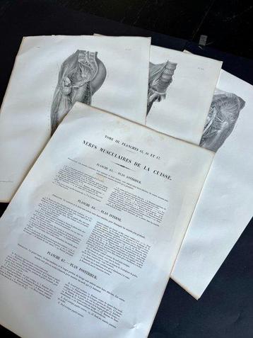 Lesmateriaal (3) - Nicolas-Henri Jacob & Jean Baptiste Marc