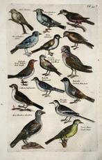 Matthäus I Merian (1593-1650) - 2 Folios with engravings of