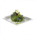 Bord | Porselein | Wit | Per Stuk | 230x230x15(h)mm Revol, Verzenden, Nieuw in verpakking