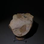 Neolithisch Big Flint. 12 cm L. Mes - 5000 v.Chr. Bijl