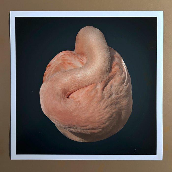 Ralph Hargarten - Flamingo, Antiek en Kunst, Kunst | Designobjecten