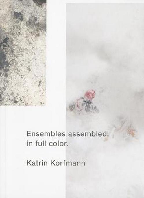 Ensembles Assembled 9789491677199, Boeken, Kunst en Cultuur | Fotografie en Design, Gelezen, Verzenden