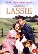 Son of lassie op DVD, Verzenden