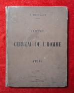 E. Brissaud - [Atlas] Anatomie du Cerveau de lHomme - 1893, Antiek en Kunst