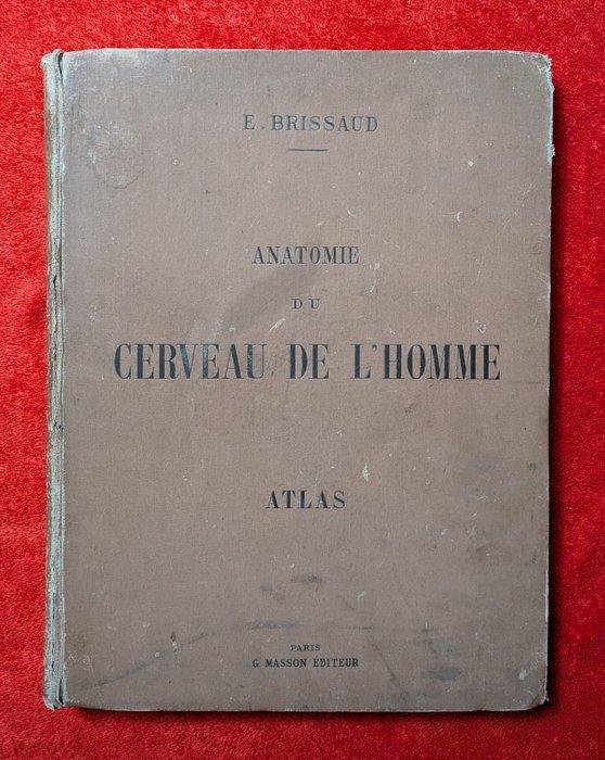 E. Brissaud - [Atlas] Anatomie du Cerveau de lHomme - 1893, Antiek en Kunst, Antiek | Boeken en Manuscripten