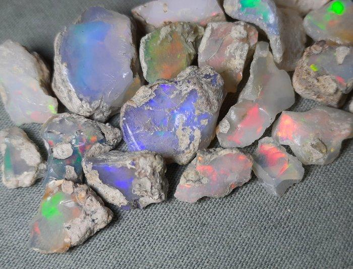55,5 ct - natuurlijke opaal Ruw- 11.1 g, Verzamelen, Mineralen en Fossielen