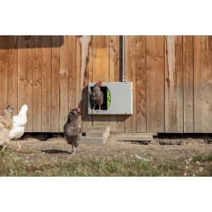 Porte poulet smartcoop, Dieren en Toebehoren, Pluimvee | Toebehoren