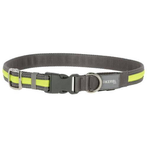 Collier lumineux light & reflex, jaune fluo, 35-50 cm, 20 mm, Dieren en Toebehoren, Honden-accessoires