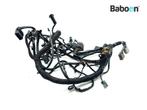 Kabelboom Buell X1 Lightning, Motoren, Gebruikt