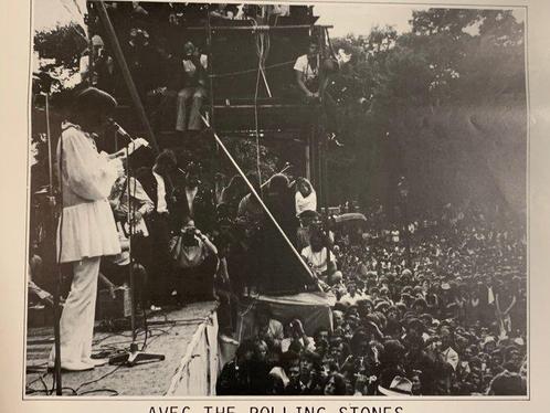 Anonymous - The Stones in the park - Rolling Stones, Antiek en Kunst, Kunst | Tekeningen en Fotografie
