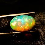 Multicolore Opale - 4.77 ct - Antwerp Laboratory for, Nieuw