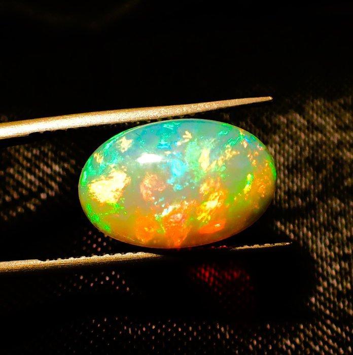 Multicolore Opale - 4.77 ct - Antwerp Laboratory for, Handtassen en Accessoires, Edelstenen