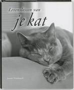 Levenslessen Van Je Kat 9789045301280 J. Sandsmark, Boeken, Stripverhalen, Verzenden, Zo goed als nieuw, J. Sandsmark