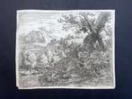 Karel Dujardin (1622-1678) - Alberi con radici esposte
