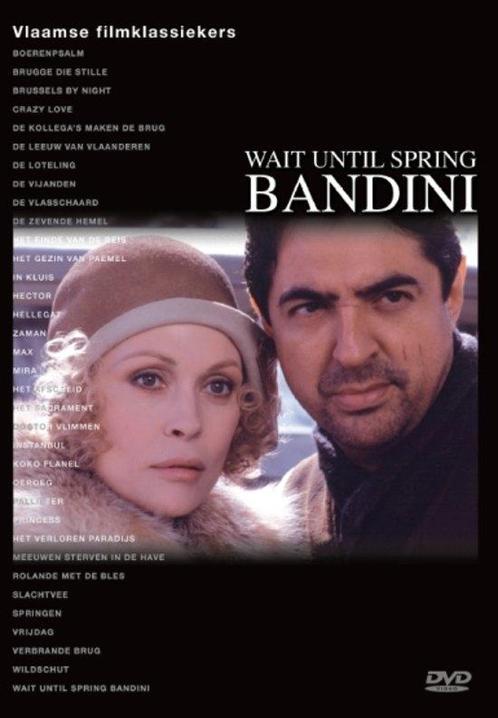 Wait Until Spring Bandini op DVD, CD & DVD, DVD | Drame, Envoi