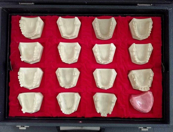 1970s Ruthinium maletín odontología • Moldes dentales, Antiquités & Art, Curiosités & Brocante