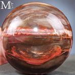 Speciale kleur - Gepolijste fossielhoutbol - Topkwaliteit