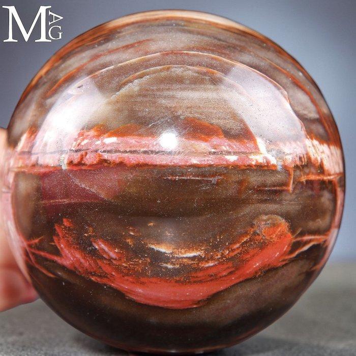 Speciale kleur - Gepolijste fossielhoutbol - Topkwaliteit, Antiquités & Art, Curiosités & Brocante