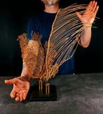 composé van gorgoniën + voetstuk Taxidermie volledige, Verzamelen, Nieuw