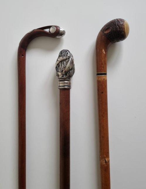 Canne, 3 bâtons de marche (3) - Argent, Bois - Environ. 1900, Antiquités & Art, Antiquités | Autres Antiquités