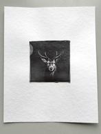 Christof René Schmidt - Hirsch