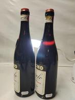 1967 Giacomo Borgogno Barolo - Barolo Riserva - 2 Flessen, Verzamelen, Wijnen, Nieuw