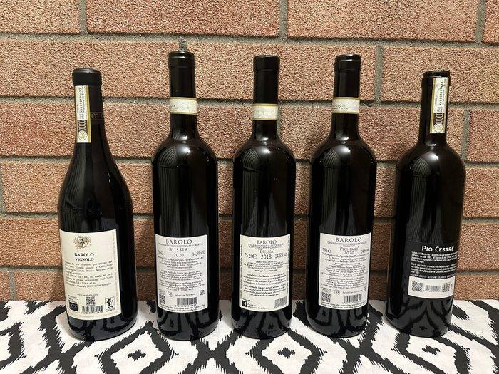 2019 Ris.Vignolo Cavallotto, 2020 x2 Bussia, 2020 Pichemej, Collections, Vins