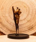 Vleermuis Taxidermie volledige montage - Hipposidorus, Verzamelen, Dierenverzamelingen, Nieuw