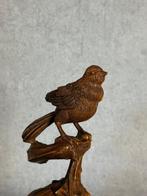 Beeld, Vogel op pompoen - 19 cm - Hout, buxus, Antiek en Kunst