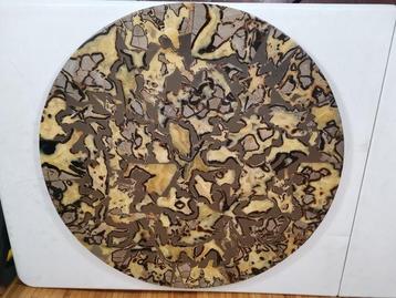 Rare table de chevet de lœuf de dragon septarien original,