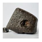 Mooie ongeclassificeerde L3 NWA xxx Chondrite meteoriet -, Collections