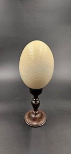 Struisvogel Ei - Struthio Camelus ei Ostrich egg - 320 mm -, Nieuw