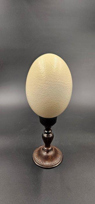 Struisvogel Ei - Struthio Camelus ei Ostrich egg - 320 mm -, Verzamelen, Dierenverzamelingen