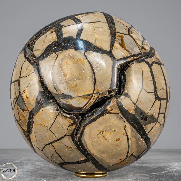 Majestueus Septarien-draken-ei met afneembare deksel –, Verzamelen, Mineralen en Fossielen