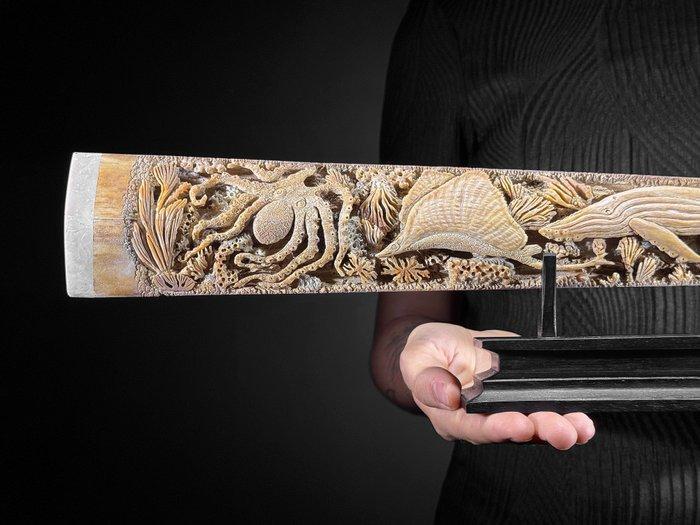 GEEN MINIMUMVERKOOPPRIJS - Grote gesneden zwaardvisrostrum -, Antiek en Kunst, Kunst | Designobjecten