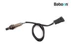 Capteur doxygène Ducati 1098 R 2007-2009, Verzenden, Nieuw