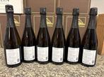 colin, Champagne Colin “Alliance Brut” – Côte des Blancs,