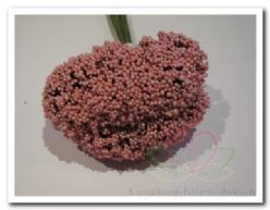 Fieldberries Rose/ doos voor bloemschikken Fieldberries Ro
