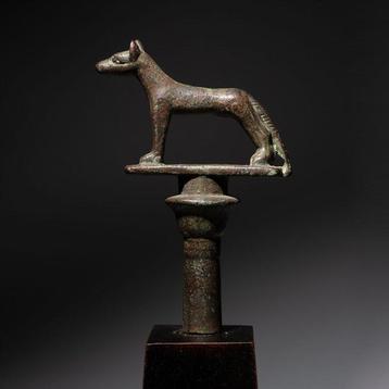 Égypte ancienne Bronze Sceptre terminal du dieu Wepwawet -